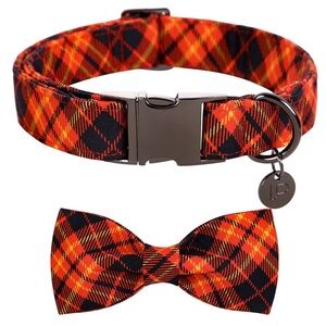For Your XL Boy Dog, Fall & Winter Dog Collar